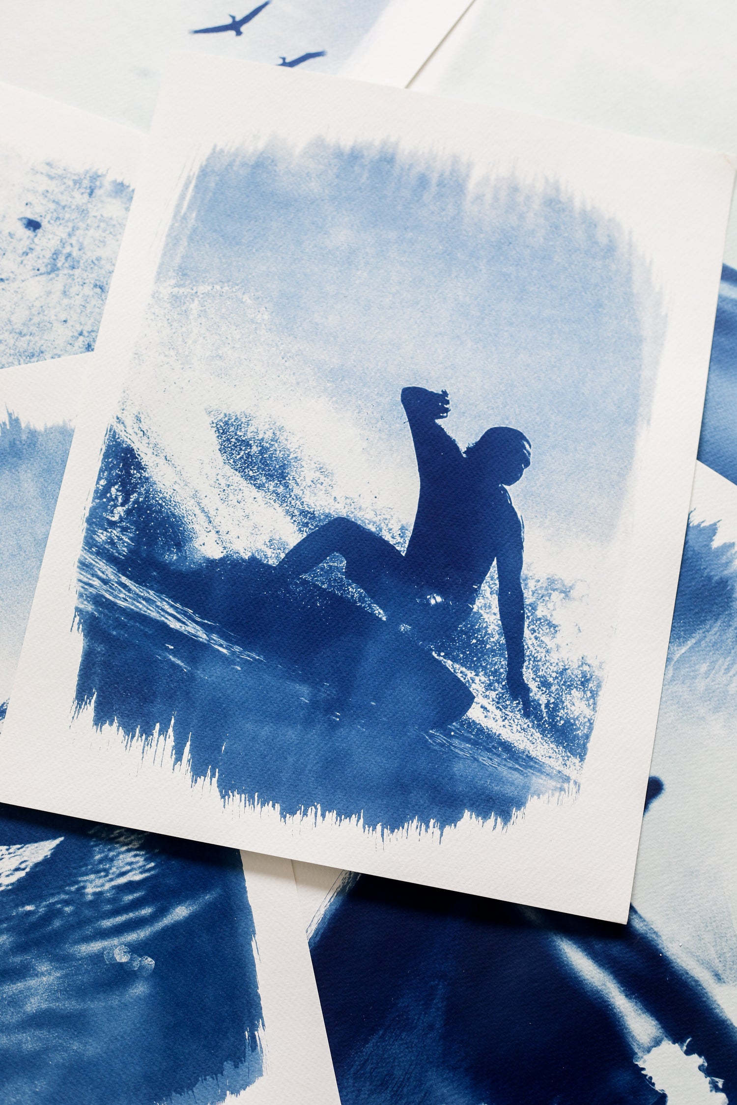 Affiches Cyanotypes